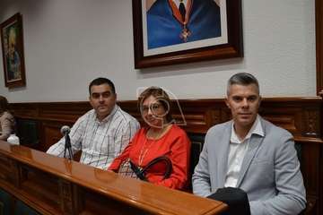 Pleno ordinario de febrero de 2020 (Foto TA)